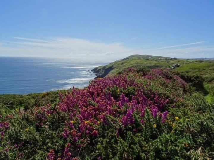 Escape To The Beara Peninsula. Castletownbere Exterior foto